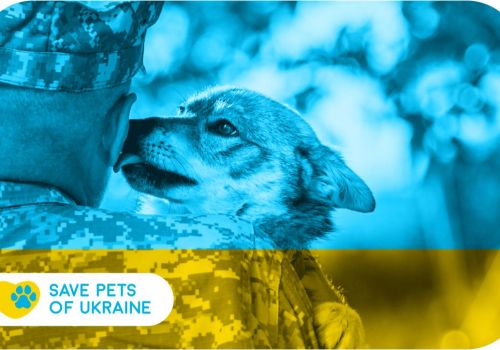 Збір коштів на порятунок тварин